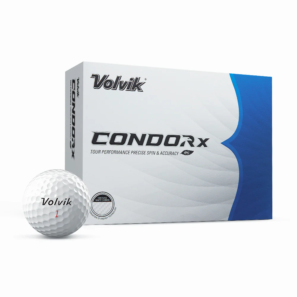 Condor-X_f6a26174-7649-4934-97df-83c96697180f.webp