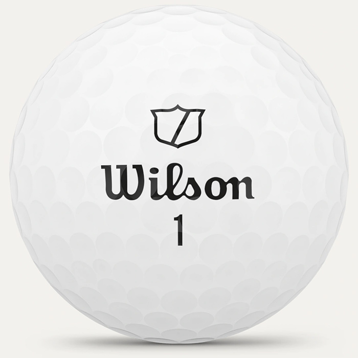 WIL0291b-Copy.jpg